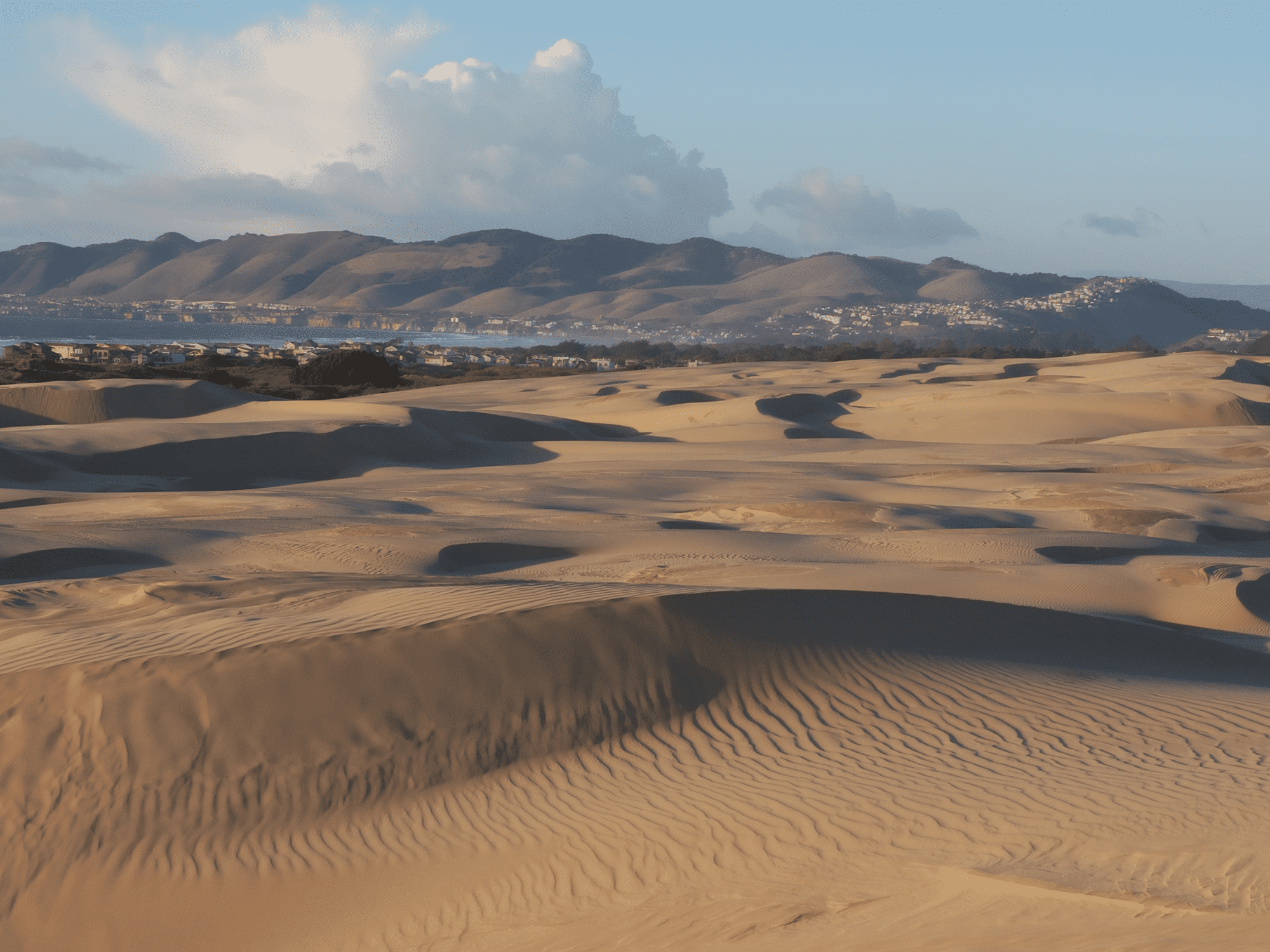 Oceano Rock View Realty Morro Bay, Los Osos, Cayucos, Real Estate